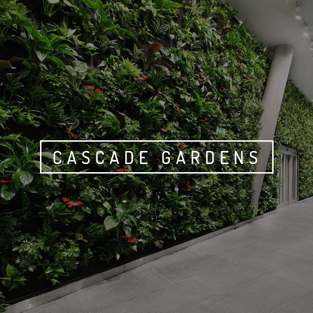 Cascade Gardens - CASCADE GARDEN